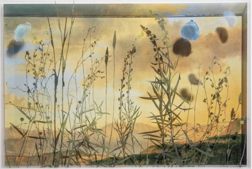 k-Tessa Verder_Unravel Flowers 5_40x60_2026 Unravel Flowers 5